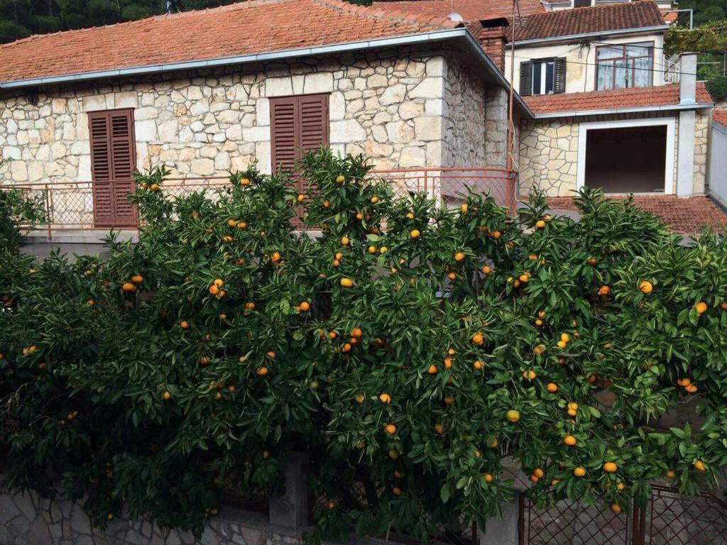 Holiday House With A Parking Space Svirce, Hvar - 17682 Vrbanj Exterior photo